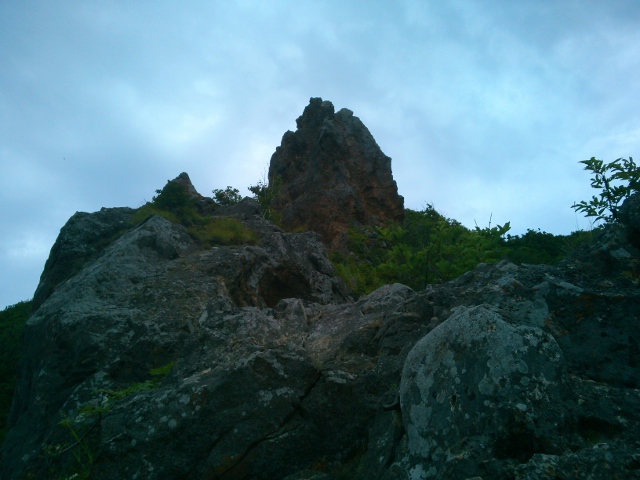 d0107938_16412826.jpg