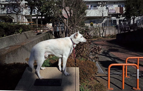 a0117039_015547.jpg