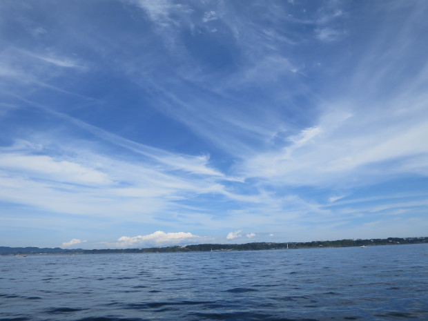 b0178339_14211224.jpg