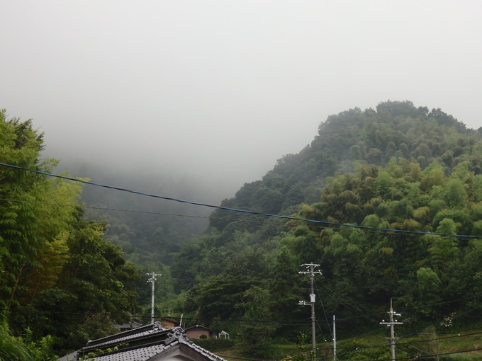 a0054240_2011688.jpg