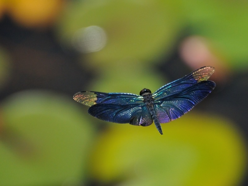 c0334250_23295351.jpg