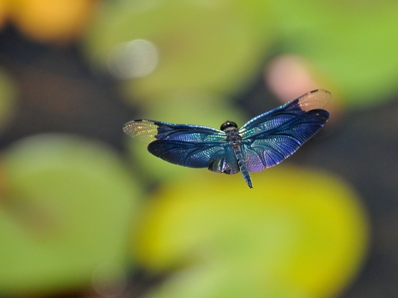 c0334250_23304287.jpg