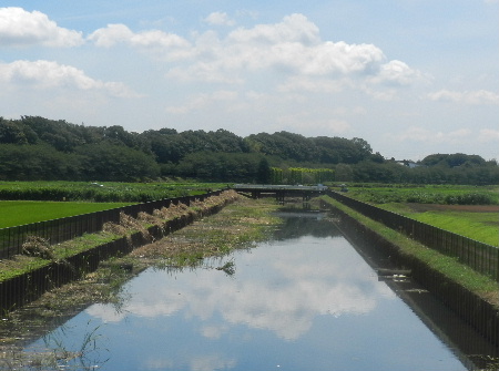 e0172950_21152580.jpg