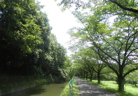 e0172950_2115433.jpg