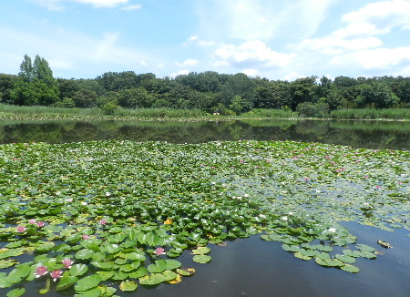 e0172950_211554100.jpg