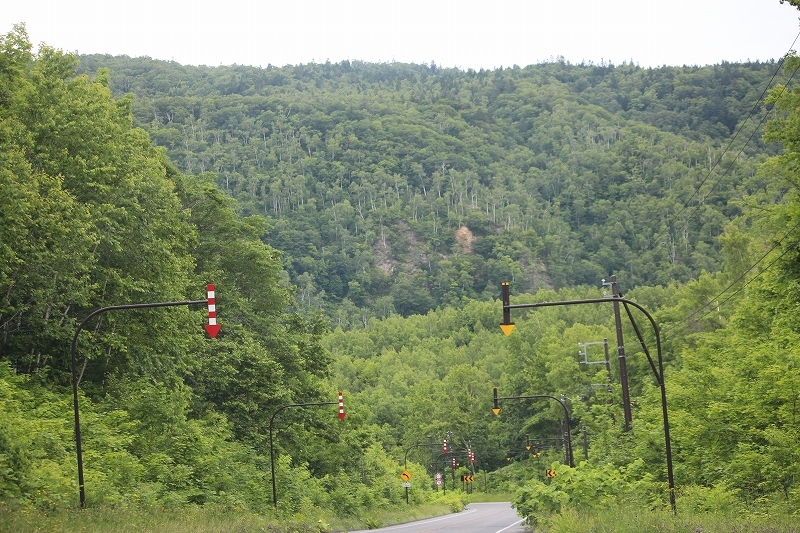 b0250154_20304810.jpg