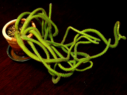 d0218056_22123560.jpg