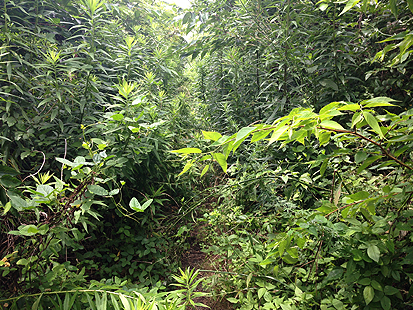 b0177760_2213194.jpg