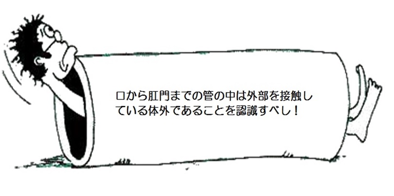 d0070361_8553378.jpg