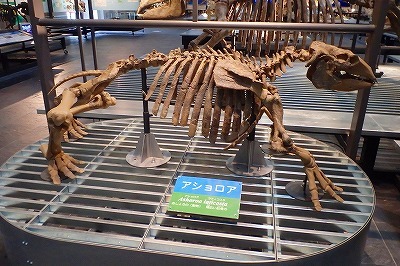 b0171771_03360978.jpg