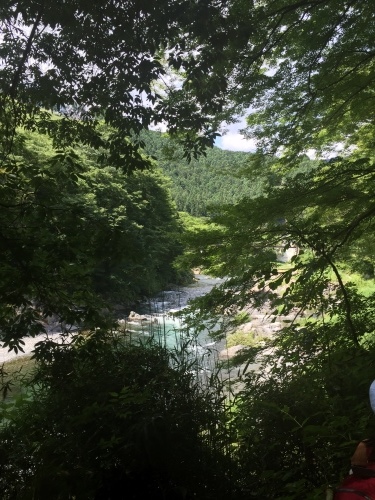 a0335677_16410961.jpeg