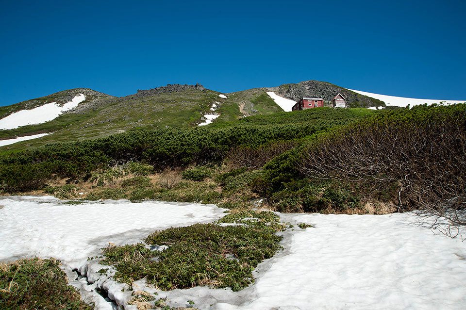f0109977_18072788.jpg