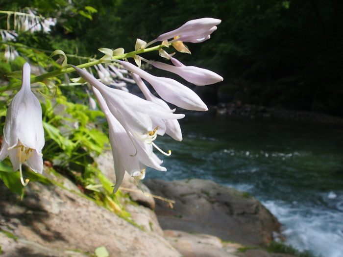 c0197578_1445049.jpg