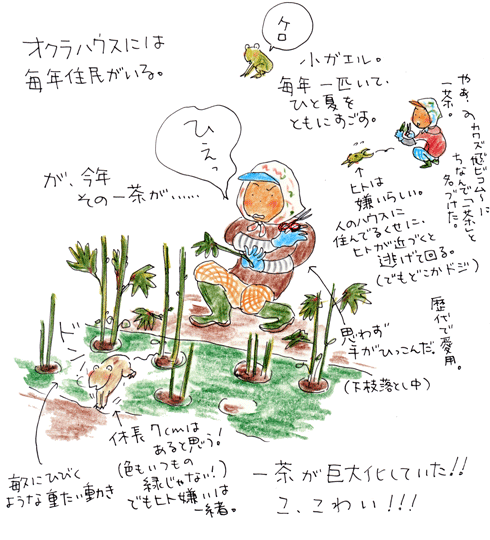 f0236291_5412030.gif