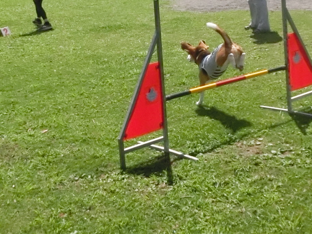 a0319693_7462651.jpg