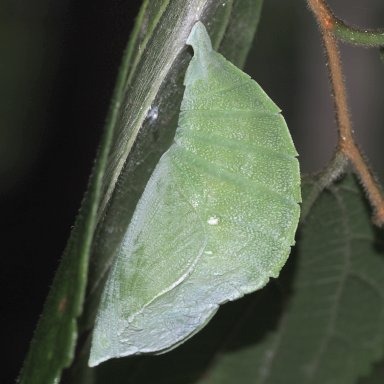 b0194593_9392251.jpg