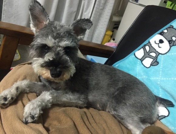 b0188998_23494848.jpeg