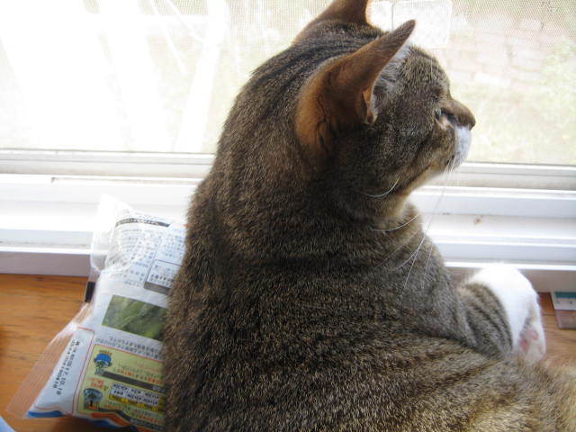 f0316507_12540692.jpg