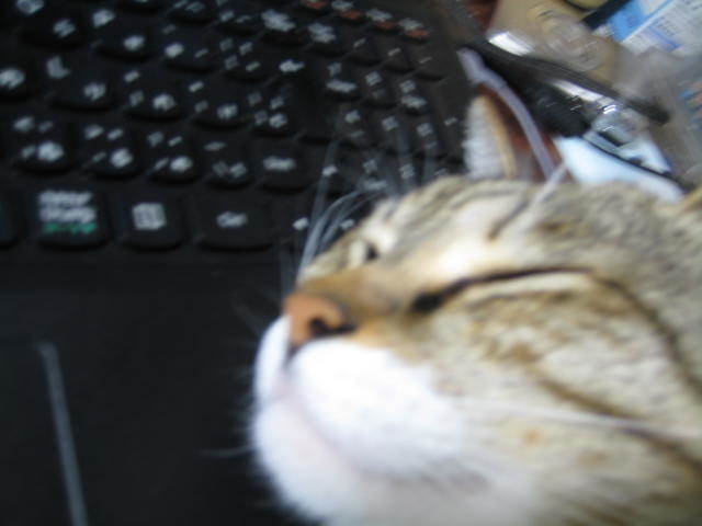 f0316507_13541655.jpg