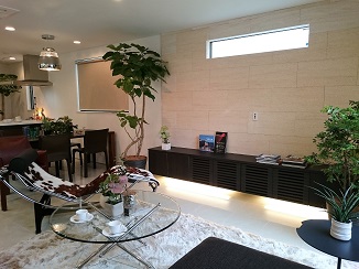d0091909_16355353.jpg