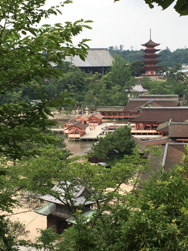 e0177509_01541526.jpg