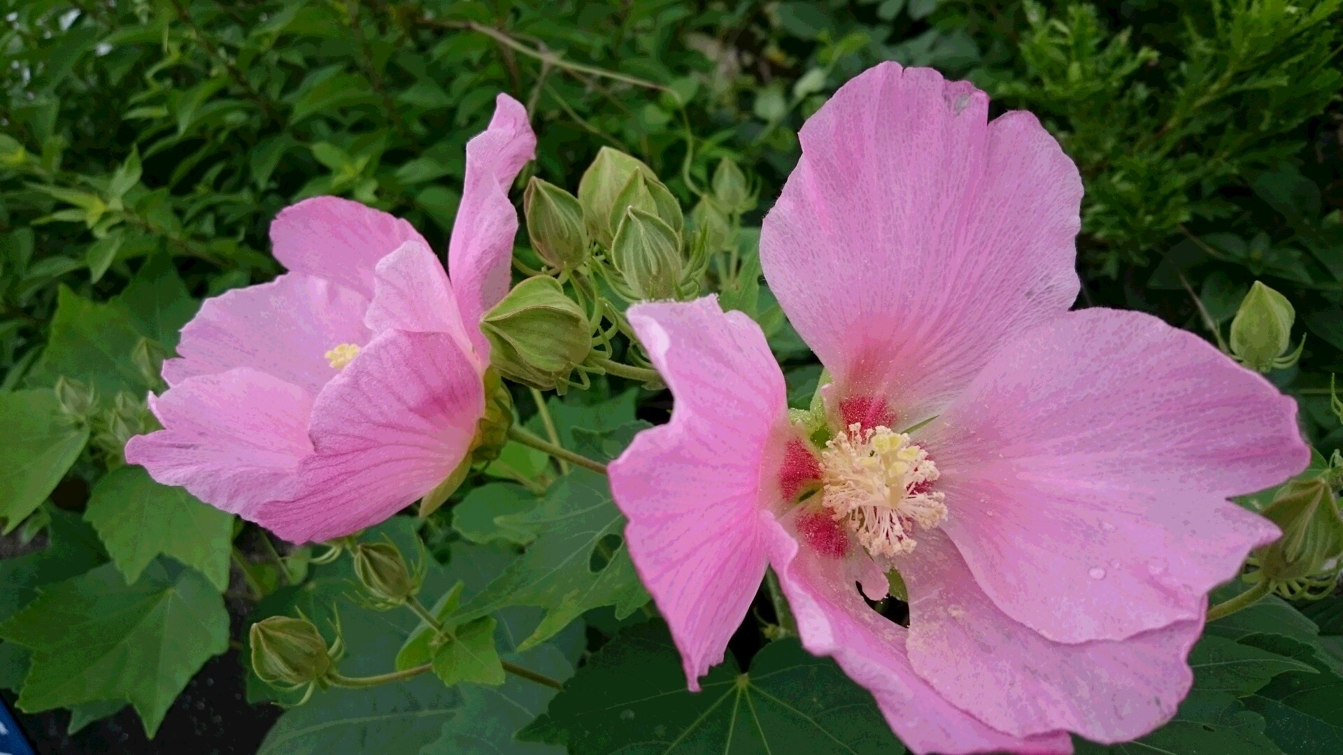 e0350415_23452503.jpg
