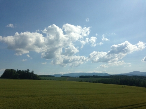 f0182618_01344315.jpg
