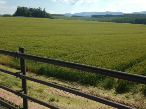 f0182618_01344898.jpg