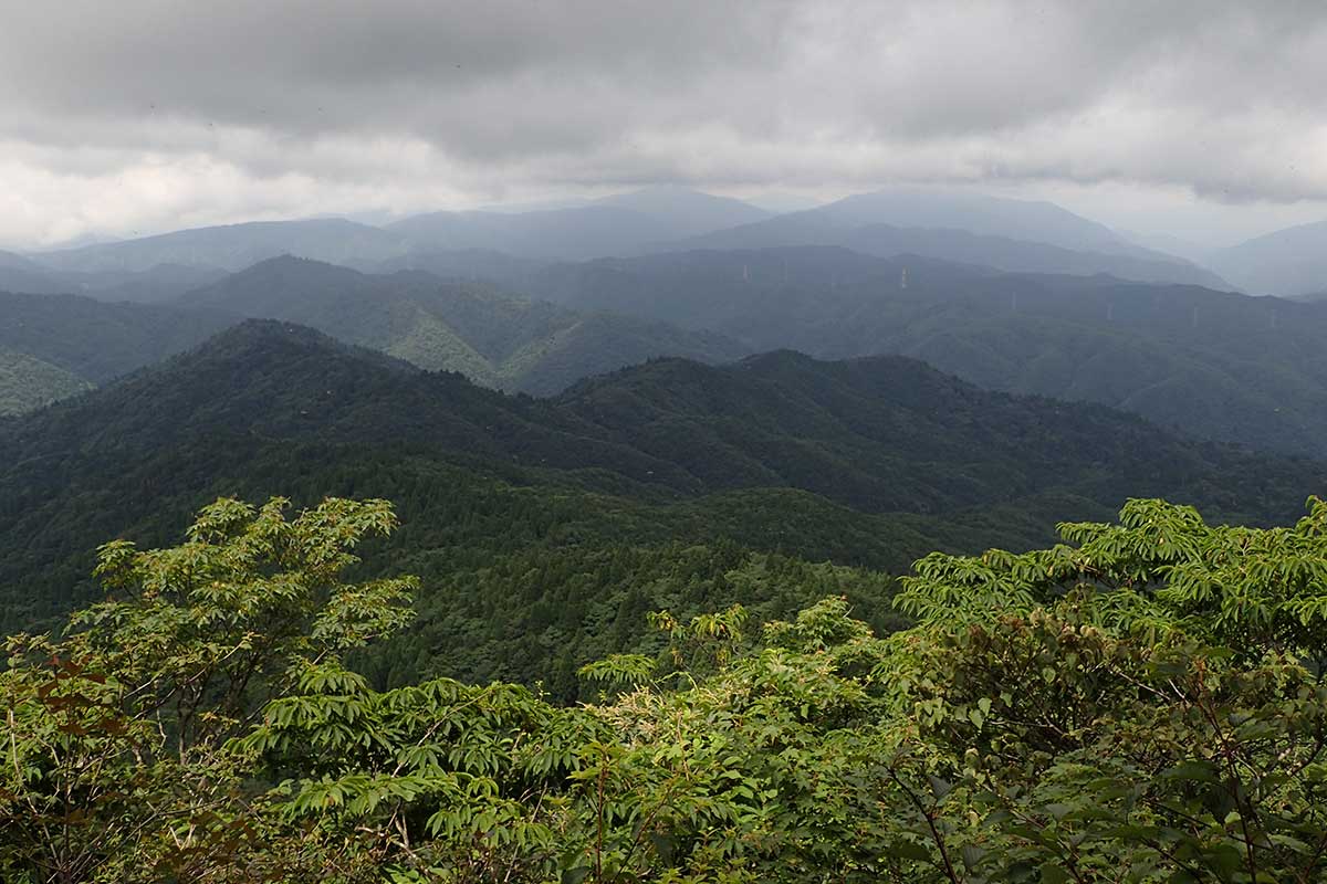 c0064025_17371243.jpg