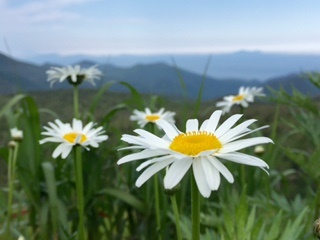 c0051529_0383442.jpg