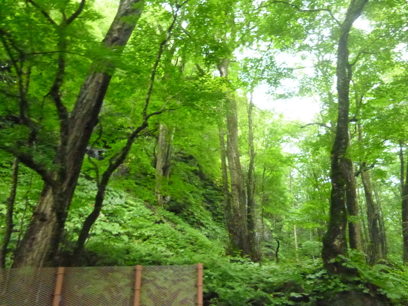 c0326333_06490649.jpg