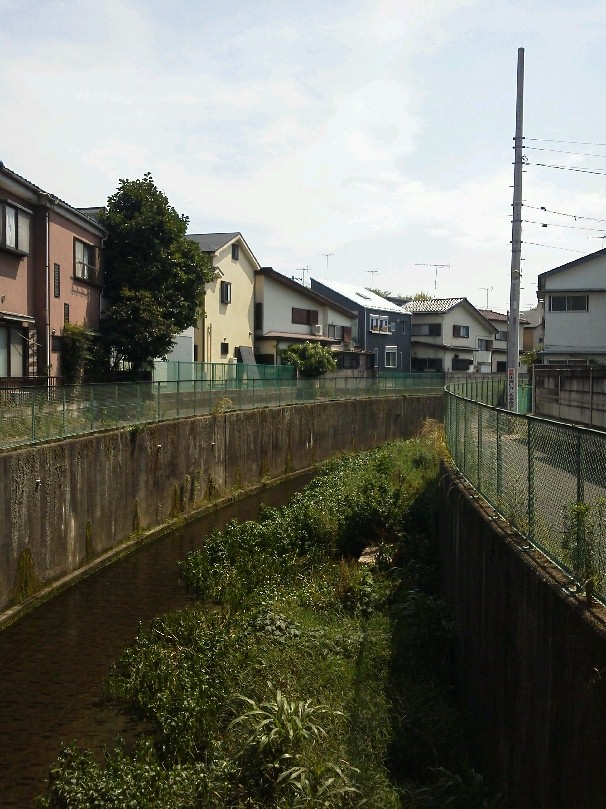 b0031140_1594022.jpg