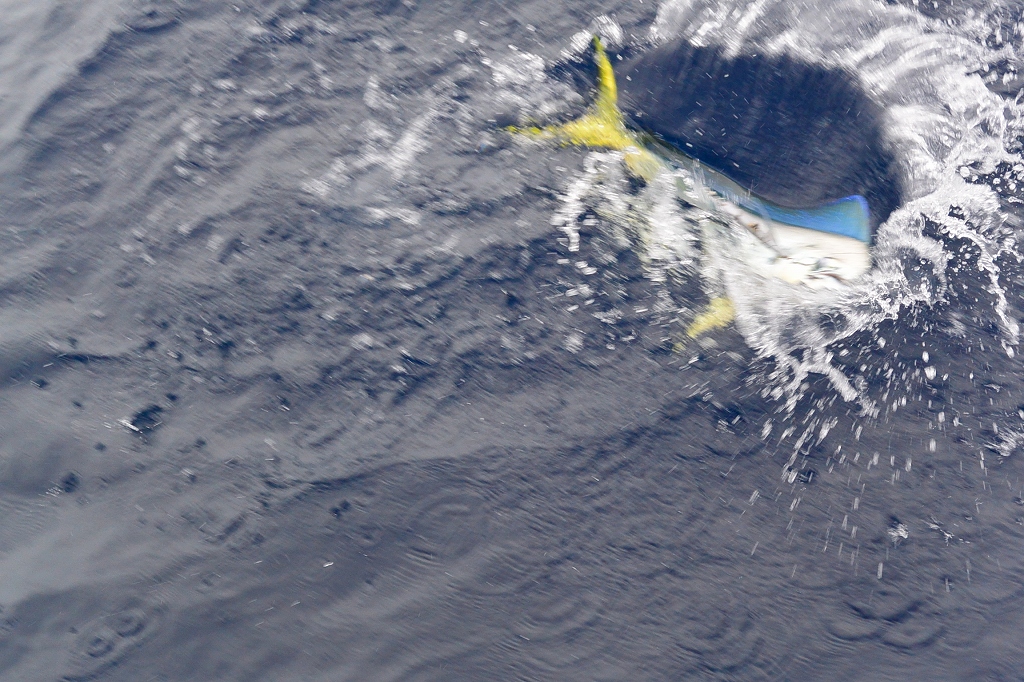 a0248152_16524377.jpg