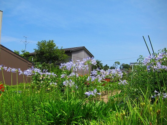 c0327752_16470545.jpg
