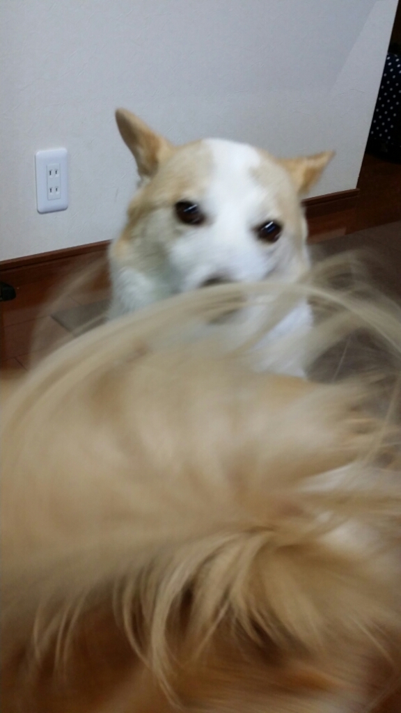 f0046854_22474382.jpg