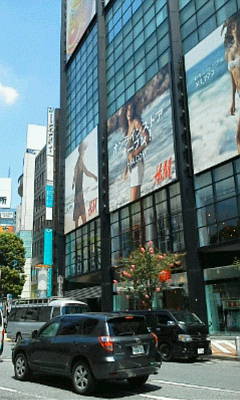 b0105259_12135255.jpg