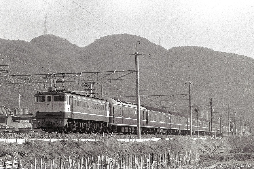 d0336159_20512885.jpg