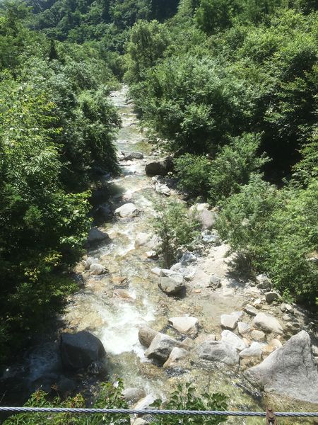 c0115660_10144613.jpg