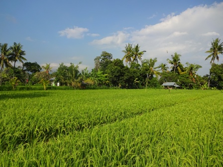 d0083068_7462223.jpg