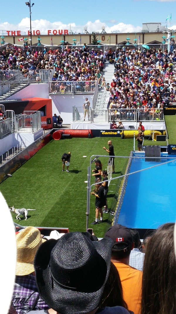 f0151671_728158.jpg