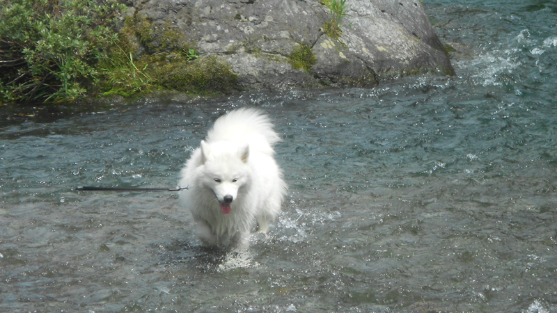 c0064678_14361427.jpg