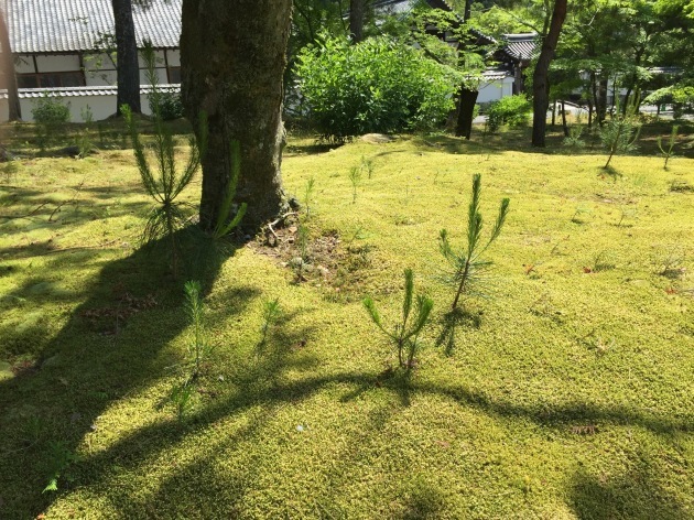 b0290384_21415988.jpeg