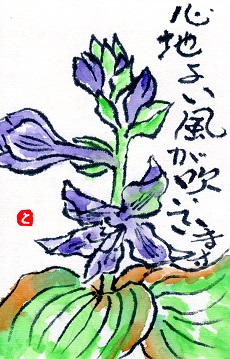 f0029393_510950.jpg