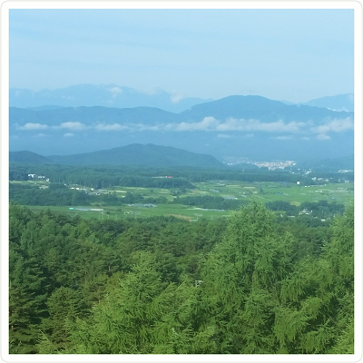 e0143298_1957626.png