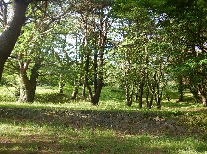 e0077899_8305564.jpg