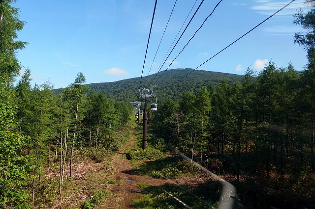 e0137200_21153570.jpg