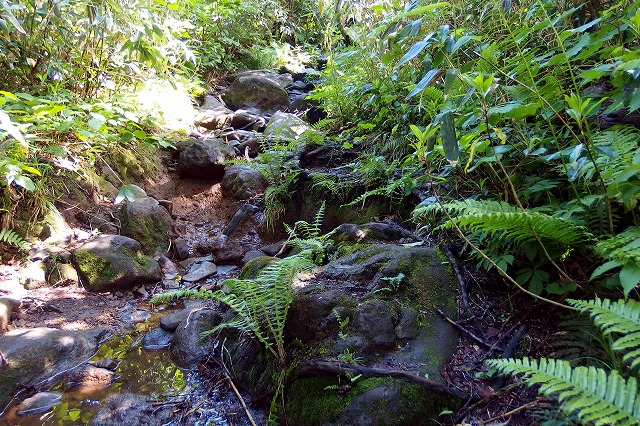 e0137200_2116324.jpg