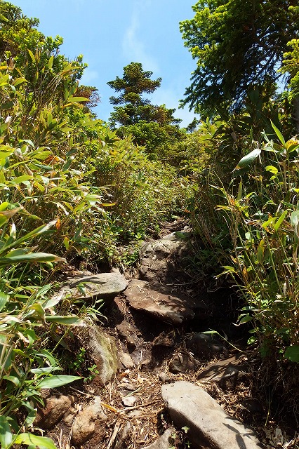 e0137200_21181151.jpg