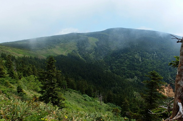 e0137200_21184111.jpg