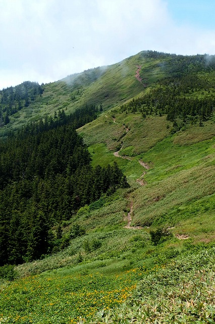 e0137200_21215535.jpg